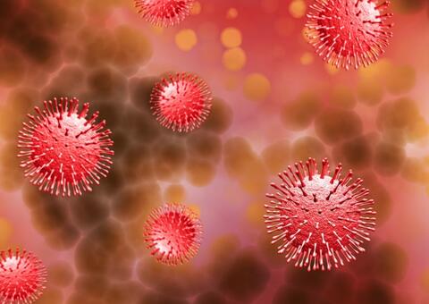 Amazonas tem mais 13 mortes por Covid-19 e se aproxima dos 119 mil casos