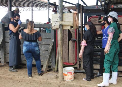 Parceria entre Nilton Lins e Rancho ING investe em biotecnologia