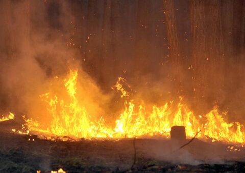Ministério do Meio Ambiente interrompe combate a queimadas e desmatamento na Amazônia