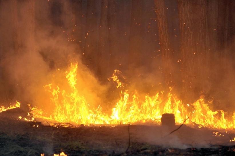 Ministério do Meio Ambiente interrompe combate a queimadas e desmatamento na Amazônia