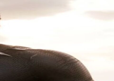 Ator Chadwick Boseman, de Pantera Negra, morre aos 42 anos