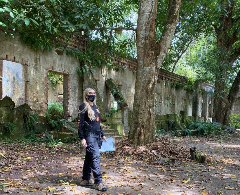 Investigação apura desmatamento na Vila de Paricatuba em Iranduba