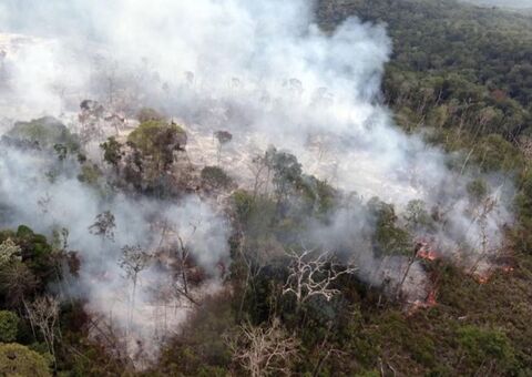 Amazonas quebra recorde de 22 anos com número de queimadas em agosto 