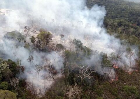 Amazonas tem R$ 56 milhões para combate ao desmatamento e queimadas