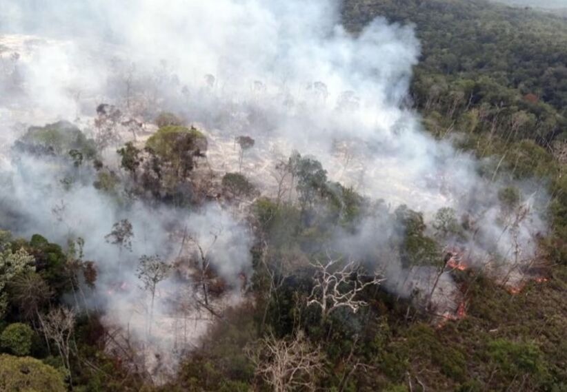 Amazonas tem R$ 56 milhões para combate ao desmatamento e queimadas