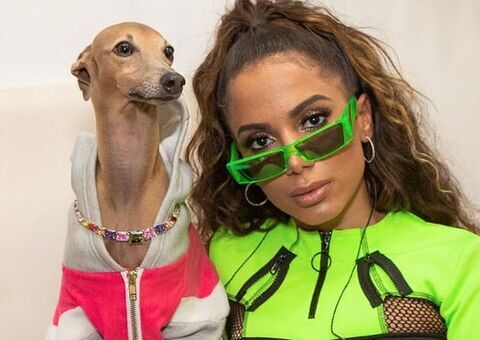 Anitta adota cães com deficiência ao voltar para Brasil