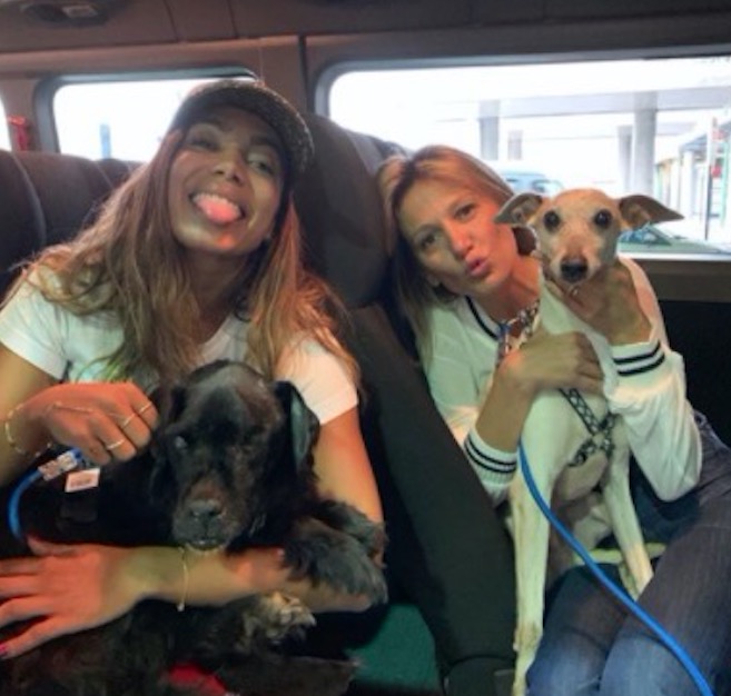 Anitta adota cães com deficiência ao voltar para Brasil