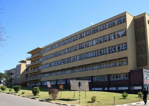 Mulher arranca pênis do ex-marido a dentadas após briga por causa de rato