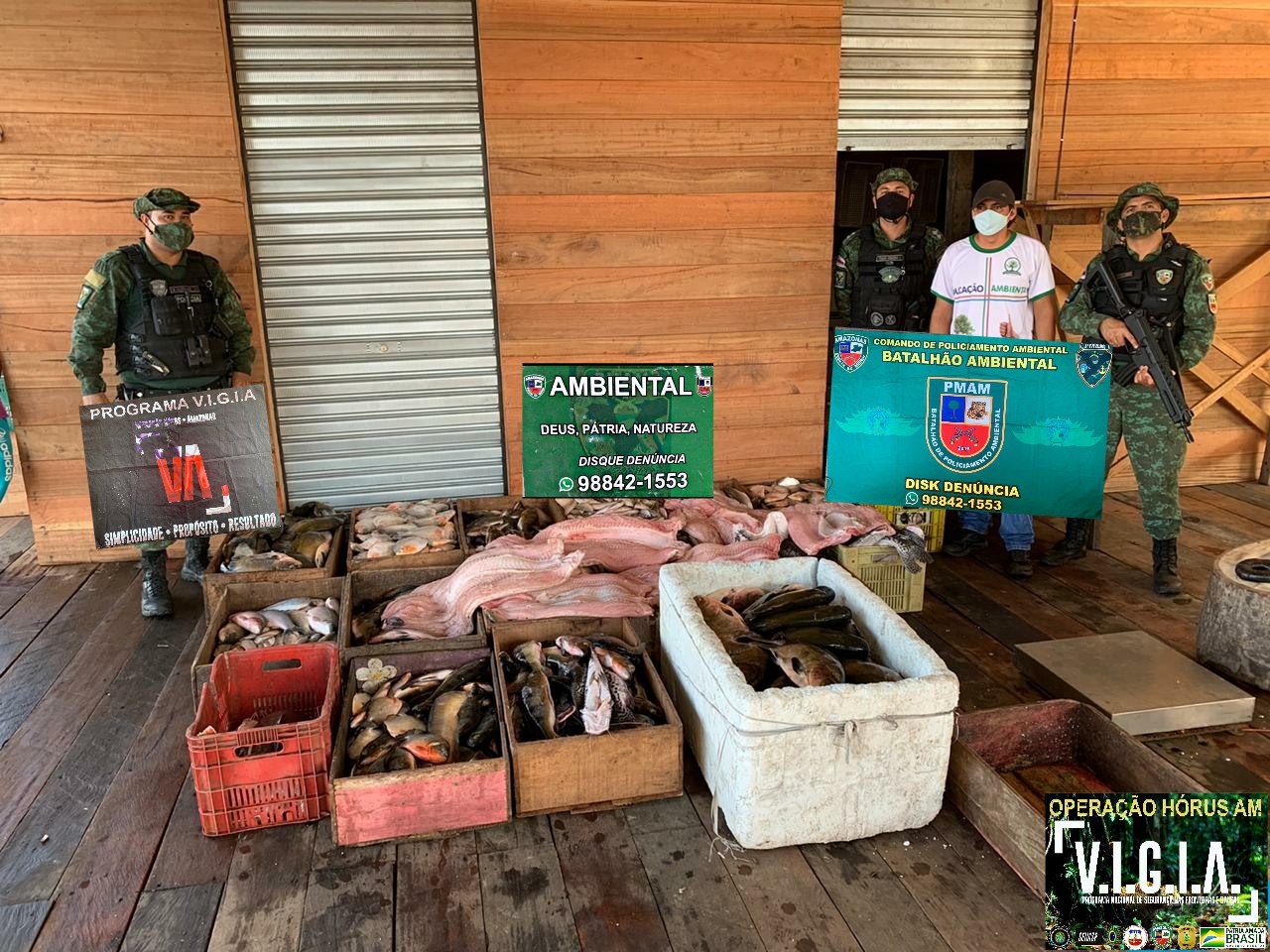 Polícia apreende 1.200 kg de pescado e quelônio ilegal no Amazonas