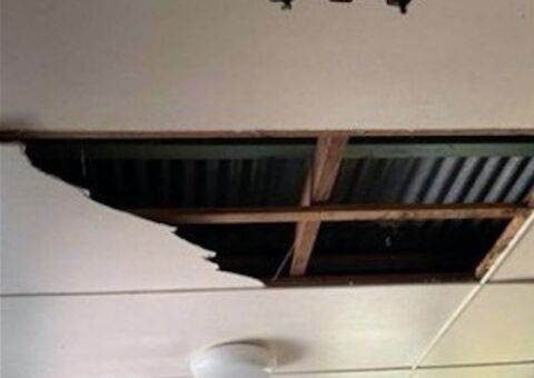 Briga entre cobras por fêmea faz teto de residência desabar