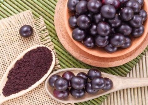 Açaí é testado para tratamento do coronavírus