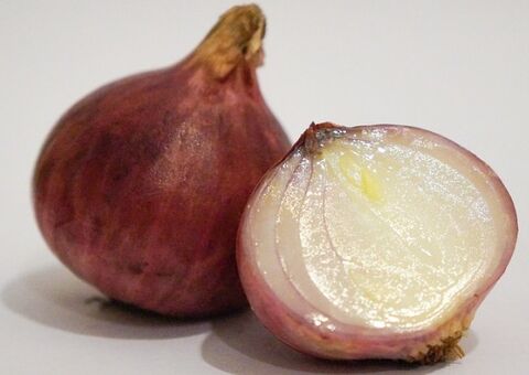 Saiba truque faz cebola durar o dobro de tempo na geladeira