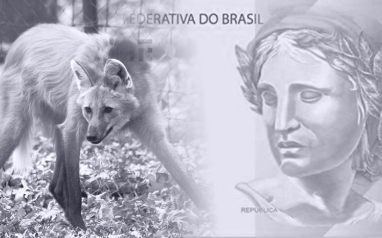 Nota de R$ 200 começa a circular nesta quarta