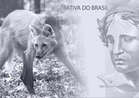 Nota de R$ 200 começa a circular nesta quarta