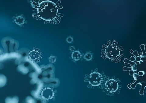 Governo federal é pior que 20 estados e DF em transparência durante a Covid