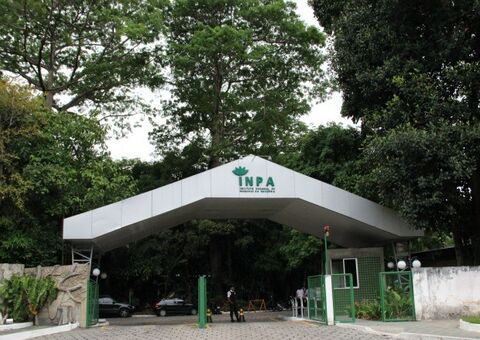 Inpa retoma atividade presencial escalonada a partir do dia 8