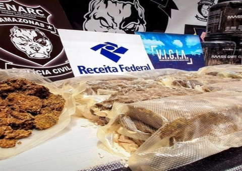 Polícia apreende 17kg de skunk em transportadora de Manaus 