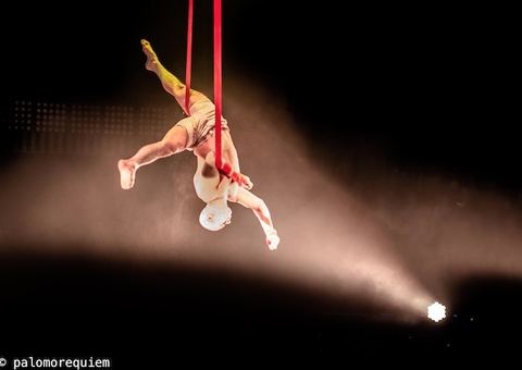 Festival Mova-se divulga espetáculos selecionados para a 11ª Edição