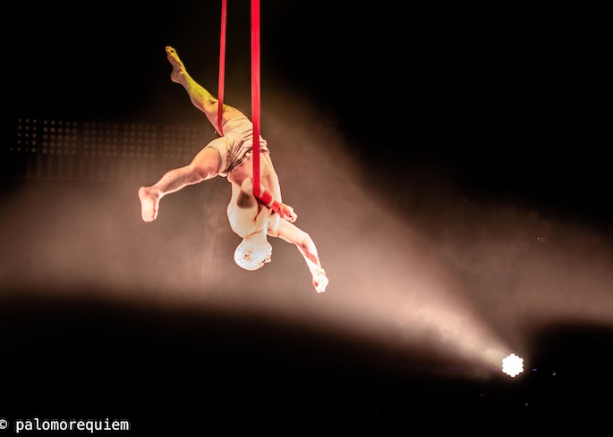 Festival Mova-se divulga espetáculos selecionados para a 11ª Edição