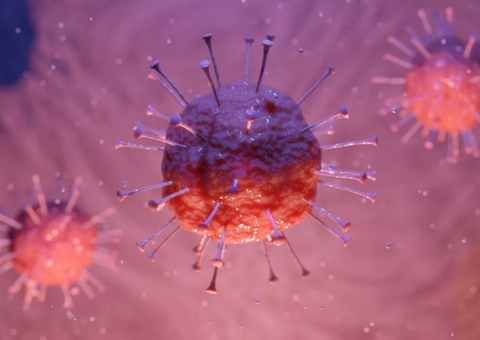 Amazonas alcança 123.187 casos de Covid-19 e soma mais 13 mortes