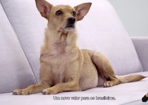 Anúncio da nova cédula de R$ 200 é feita por vira-lata Caramelo