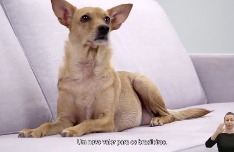 Anúncio da nova cédula de R$ 200 é feita por vira-lata Caramelo