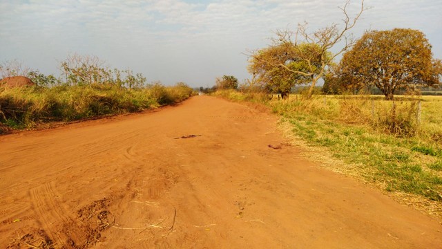 Com tiros na cabeça, casal é encontrado morto em estrada