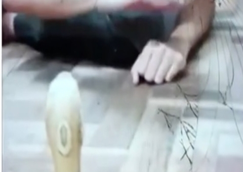 Polícia encontra vídeos que mostram estudante provocando reação de Naja 