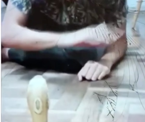 Polícia encontra vídeos que mostram estudante provocando reação de Naja 