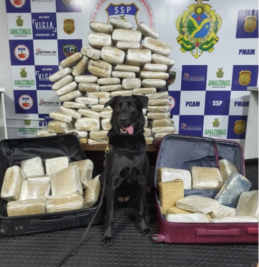 Mulher é presa na frente da filha de 5 anos ao ser pega com drogas em Coari