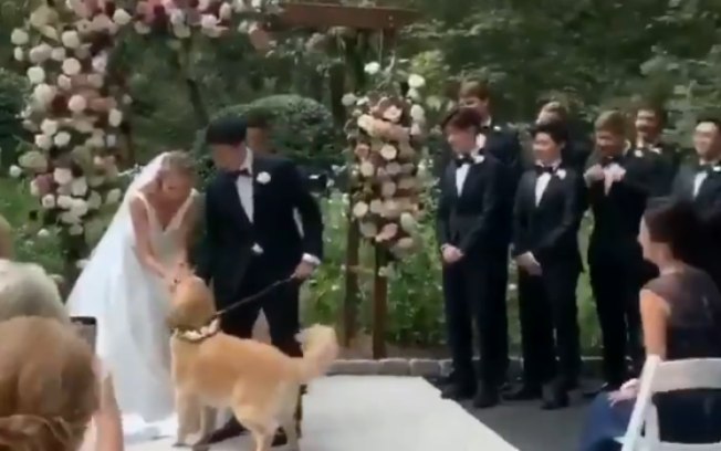 Cão invade casamento e conquista convidados com cena inusitada