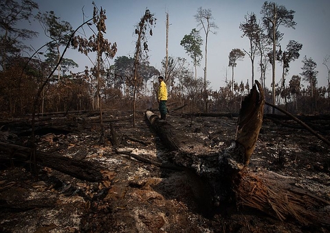 Queimadas no Amazonas têm comissão de monitoramento na Aleam