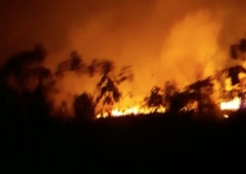 Incêndio devasta floresta e ameaça engolir casas no Amazonas