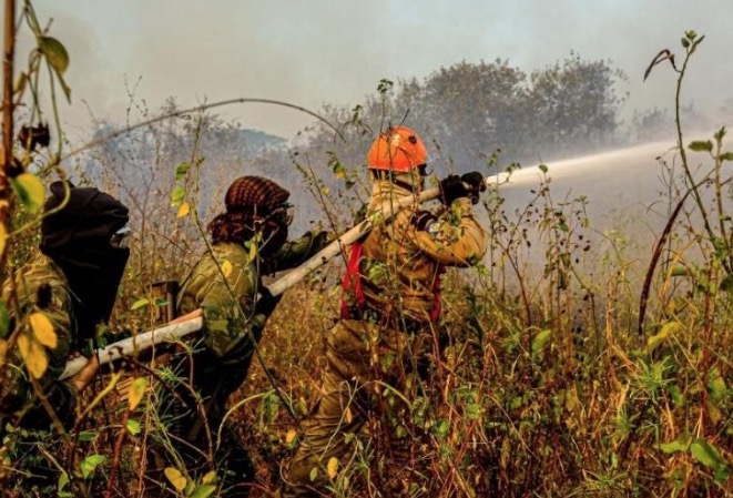 Fogo ameaça área de maior concentração de onças-pintadas do mundo 