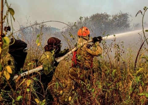 Fogo ameaça área de maior concentração de onças-pintadas do mundo 