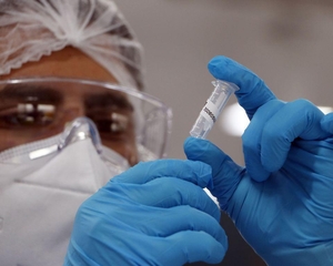 Um vírus que mata, gera dinheiro ilegal e ainda blinda malfeitorias