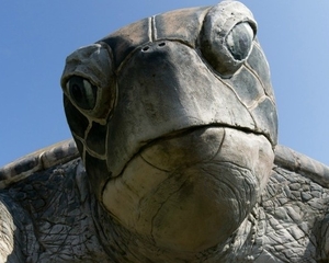 O jabuti plantado na pesquisa Ibope