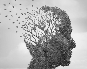 O dia do julgamento final 