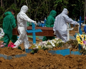 Omissão, descaso e mortes por Covid 19 na cidade de  Manaus