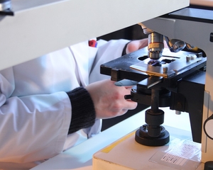 Se ninguém atrapalhar, vamos vencer a Covid 19 no Amazonas