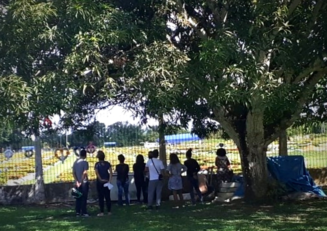 Vinte mortos por Covid no domingo em Manaus 'é quase nada'. Nada mesmo ? 