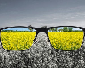 'Fake News' e a visão daltônica dos poderosos sobre a verdade factual