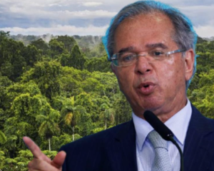 Guedes delira ao falar da Amazônia e dos bolsões de pobreza em Manaus