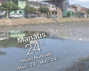 Manaus, 24 graus. Tempo mudando, natureza gemendo