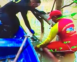 Dom Phillips e Bruno não merecem o circo que começa a ser montado