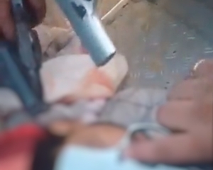 A espantosa facilidade com que as facções criminosas atuam no Amazonas