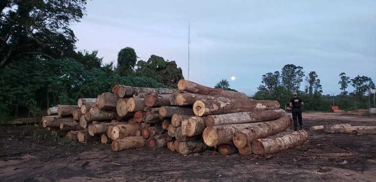 Operação da PF cumpre 16 mandados de busca e apreensão contra madeireiras