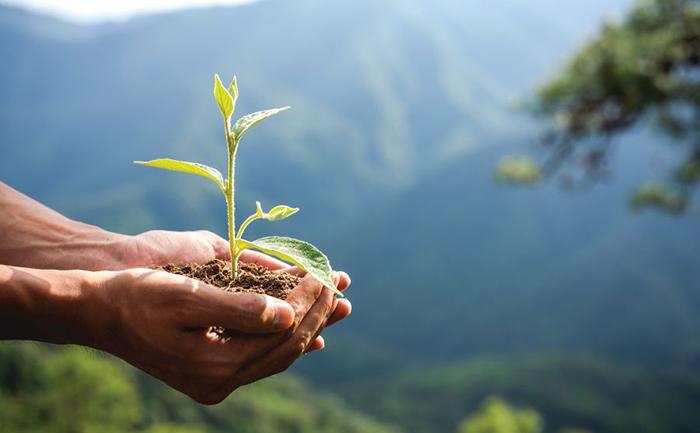 Aleam aprova novos prazos para liberação de licenciamento ambiental