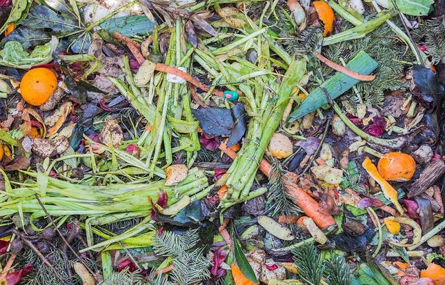 Brasileiro desperdiça 60 quilos de comida por ano, diz Embrapa