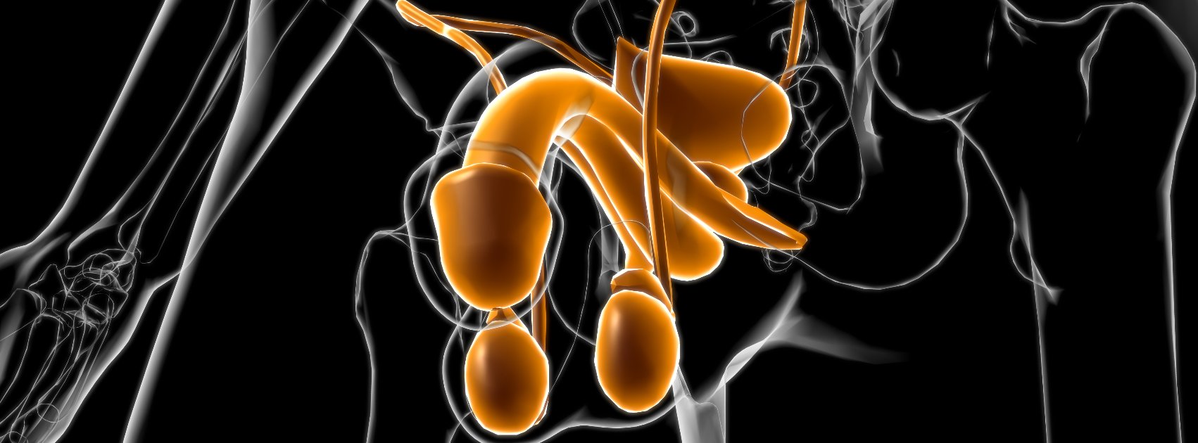 Falta de higiene pode causar perda do pênis; saiba como evitar câncer